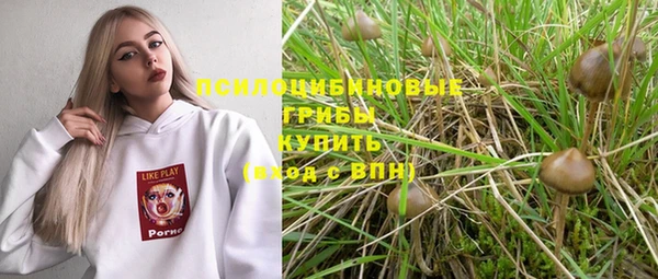 винт Покров