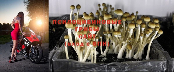 мяу мяу мука Абинск