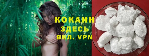 кокс Абаза