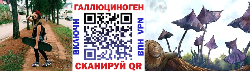 Галлюциногенные грибы Psilocybine cubensis  Красноармейск 