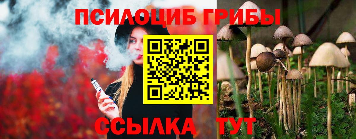 Галлюциногенные грибы Psilocybe Красноармейск