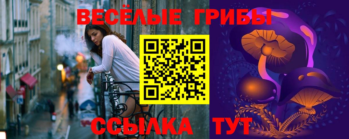 Псилоцибиновые грибы мицелий  Вход с VPN  Красноармейск 